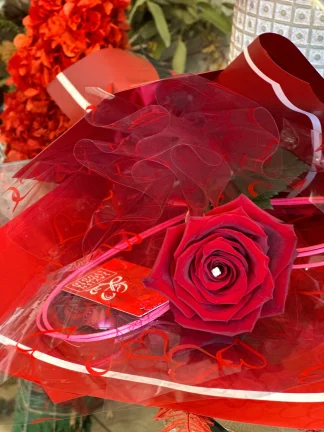 Single Lavish Red Rose